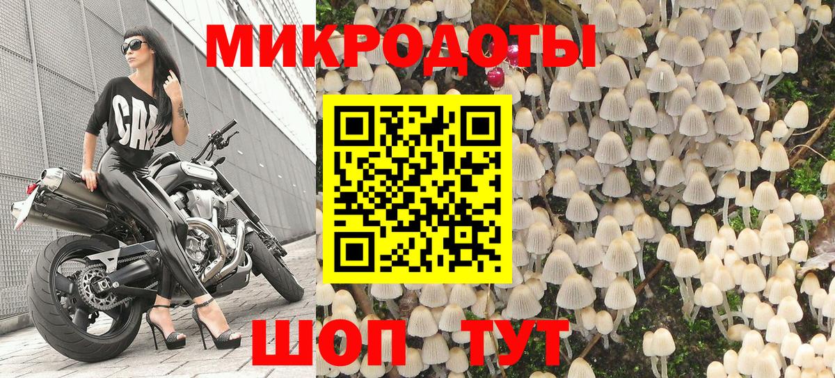 Галлюциногенные грибы GOLDEN TEACHER  Вход с VPN  Новокузнецк 